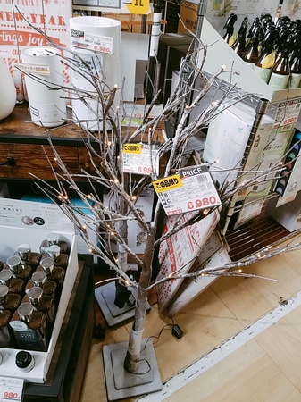 B612_20191118_110939_556.jpg