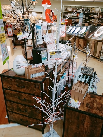 B612_20191118_111025_347.jpg